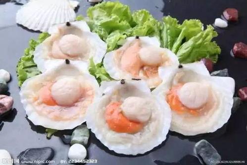 爆料海鲜扇贝怎么做视频,轻松学会家常美味